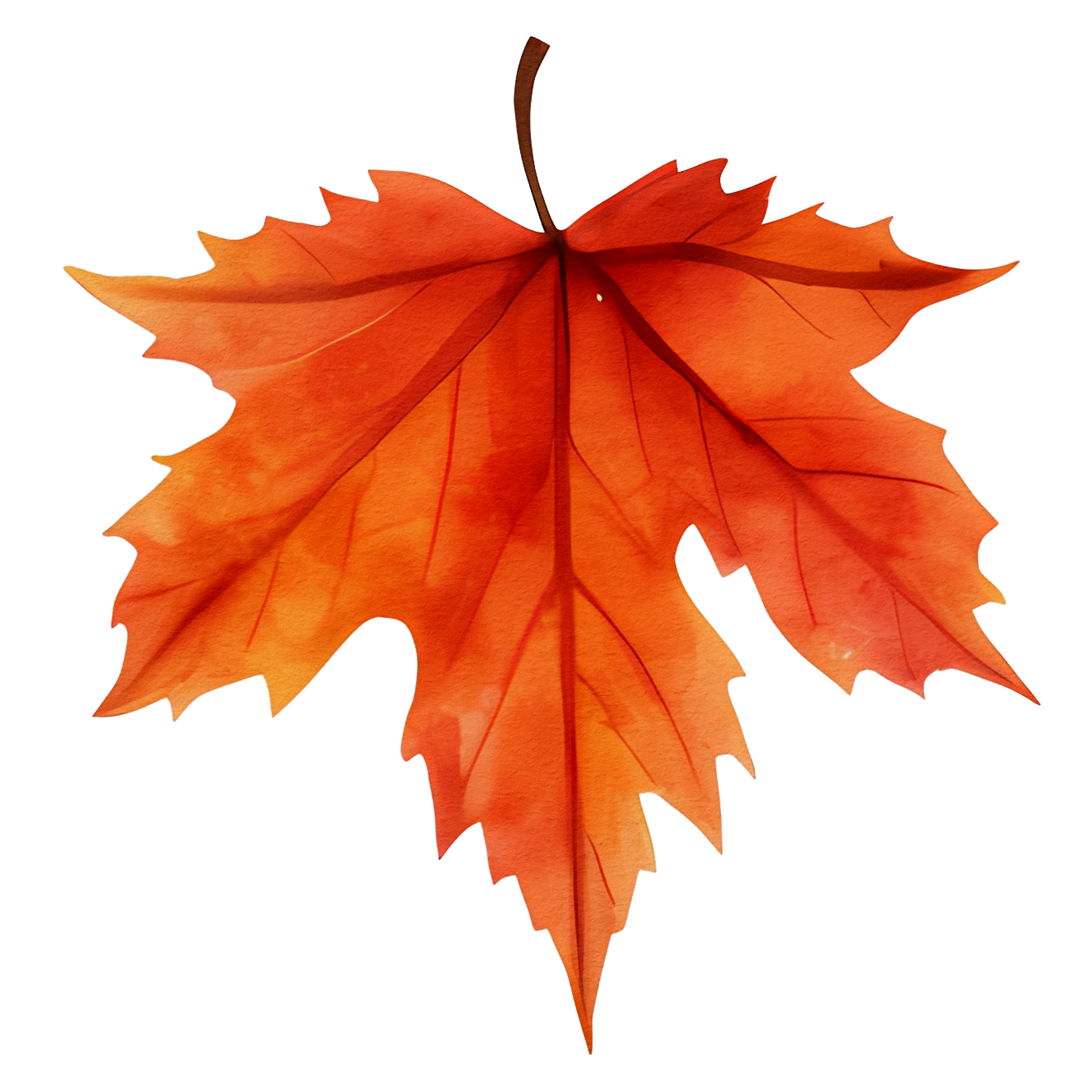 Maple leaf